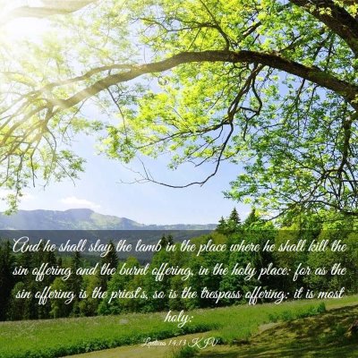 Picture 03 - Leviticus 14:13 KJV - And he shall slay the lamb in the place where he - Bible Verse Picture