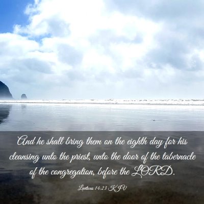 Picture 03 - Leviticus 14:23 KJV - And he shall bring them on the eighth day for his - Bible Verse Picture