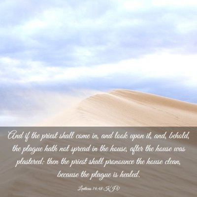 Picture 03 - Leviticus 14:48 KJV - And if the priest shall come in, and look upon - Bible Verse Picture