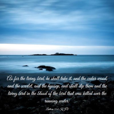 Picture 03 - Leviticus 14:6 KJV - As for the living bird, he shall take it, and the - Bible Verse Picture