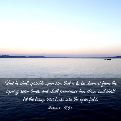Picture 03 - Leviticus 14:7 KJV - And he shall sprinkle upon him that is to be - Bible Verse Picture