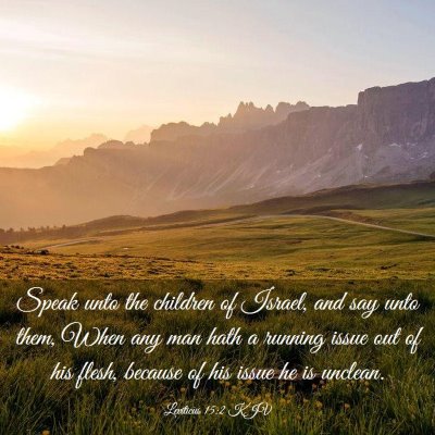 Picture 03 - Leviticus 15:2 KJV - Speak unto the children of Israel, and say unto - Bible Verse Picture