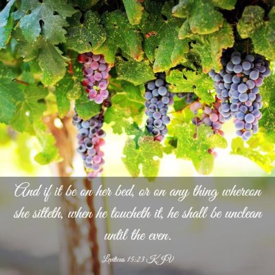Picture 03 - Leviticus 15:23 KJV - And if it be on her bed, or on any thing whereon - Bible Verse Picture