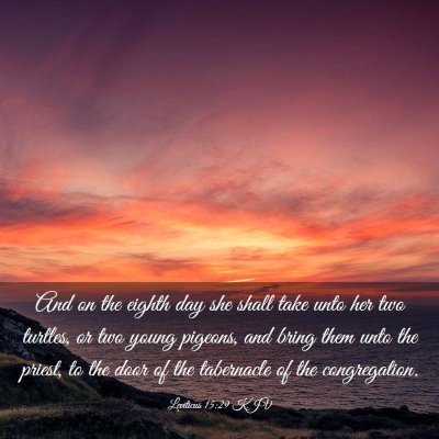 Picture 03 - Leviticus 15:29 KJV - And on the eighth day she shall take unto her two - Bible Verse Picture
