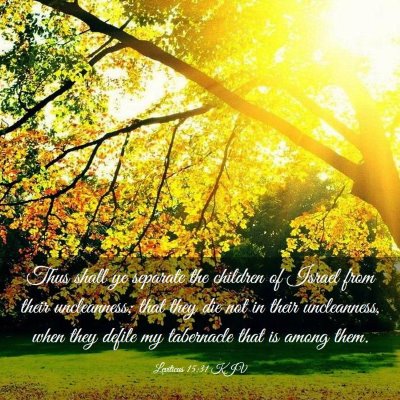 Picture 03 - Leviticus 15:31 KJV - Thus shall ye separate the children of Israel - Bible Verse Picture