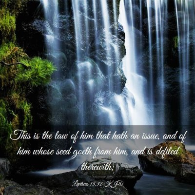 Picture 03 - Leviticus 15:32 KJV - This is the law of him that hath an issue, and of - Bible Verse Picture