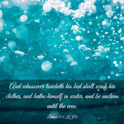 Picture 03 - Leviticus 15:5 KJV - And whosoever toucheth his bed shall wash his - Bible Verse Picture