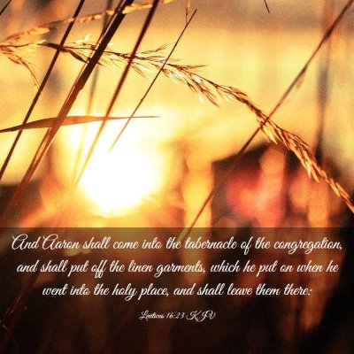 Picture 03 - Leviticus 16:23 KJV - And Aaron shall come into the tabernacle of the - Bible Verse Picture