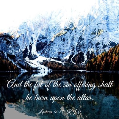 Picture 03 - Leviticus 16:25 KJV - And the fat of the sin offering shall he burn - Bible Verse Picture