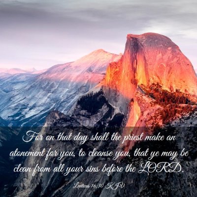 Picture 03 - Leviticus 16:30 KJV - For on that day shall the priest make an - Bible Verse Picture