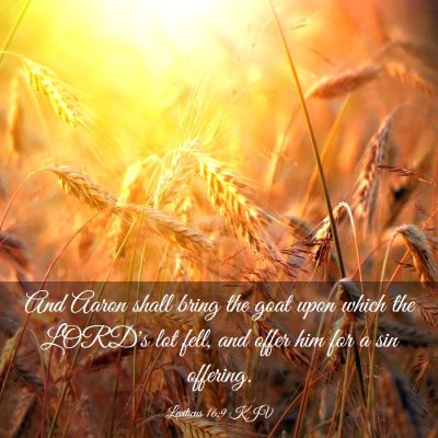 Picture 03 - Leviticus 16:9 KJV - And Aaron shall bring the goat upon which the - Bible Verse Picture