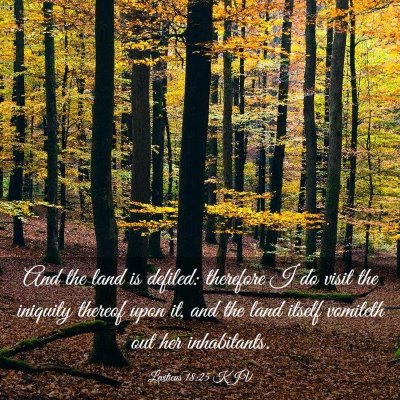 Picture 03 - Leviticus 18:25 KJV - And the land is defiled: therefore I do visit the - Bible Verse Picture