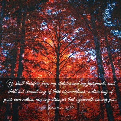 Picture 03 - Leviticus 18:26 KJV - Ye shall therefore keep my statutes and my - Bible Verse Picture