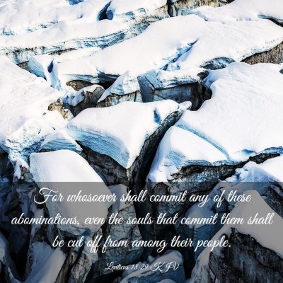 Picture 03 - Leviticus 18:29 KJV - For whosoever shall commit any of these - Bible Verse Picture