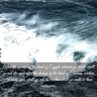 Picture 03 - Leviticus 18:3 KJV - After the doings of the land of Egypt, wherein ye - Bible Verse Picture