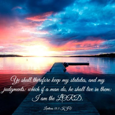 Picture 03 - Leviticus 18:5 KJV - Ye shall therefore keep my statutes, and my - Bible Verse Picture