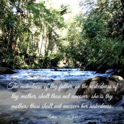 Picture 03 - Leviticus 18:7 KJV - The nakedness of thy father, or the nakedness of - Bible Verse Picture