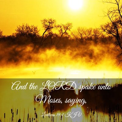 Picture 03 - Leviticus 19:1 KJV - And the LORD spake unto Moses, - Bible Verse Picture