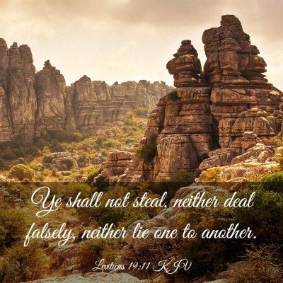 Picture 03 - Leviticus 19:11 KJV - Ye shall not steal, neither deal falsely, neither - Bible Verse Picture