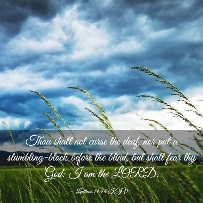 Picture 03 - Leviticus 19:14 KJV - Thou shalt not curse the deaf, nor put a - Bible Verse Picture