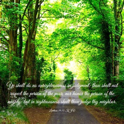 Picture 03 - Leviticus 19:15 KJV - Ye shall do no unrighteousness in judgment: thou - Bible Verse Picture