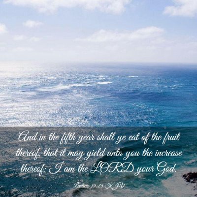 Picture 03 - Leviticus 19:25 KJV - And in the fifth year shall ye eat of the fruit - Bible Verse Picture