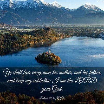 Picture 03 - Leviticus 19:3 KJV - Ye shall fear every man his mother, and his - Bible Verse Picture