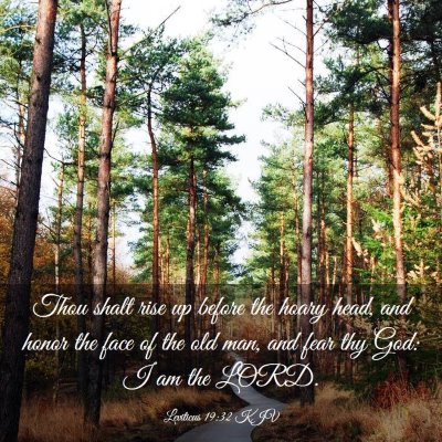 Picture 03 - Leviticus 19:32 KJV - Thou shalt rise up before the hoary head, and - Bible Verse Picture