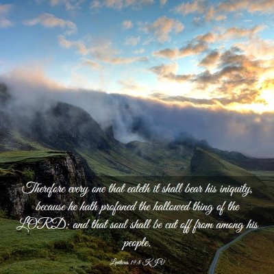 Picture 03 - Leviticus 19:8 KJV - Therefore every one that eateth it shall bear his - Bible Verse Picture