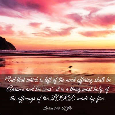 Picture 03 - Leviticus 2:10 KJV - And that which is left of the meat offering shall - Bible Verse Picture