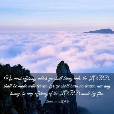 Picture 03 - Leviticus 2:11 KJV - No meat offering, which ye shall bring unto the - Bible Verse Picture