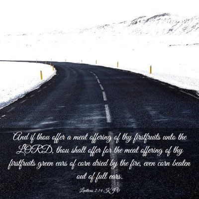 Picture 03 - Leviticus 2:14 KJV - And if thou offer a meat offering of thy - Bible Verse Picture