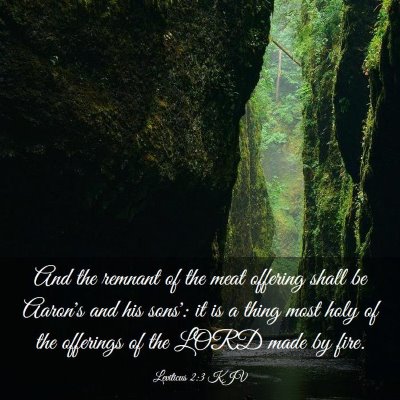 Picture 03 - Leviticus 2:3 KJV - And the remnant of the meat offering shall be - Bible Verse Picture