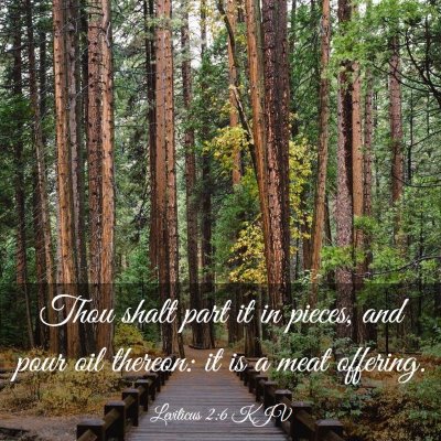Picture 03 - Leviticus 2:6 KJV - Thou shalt part it in pieces, and pour oil - Bible Verse Picture