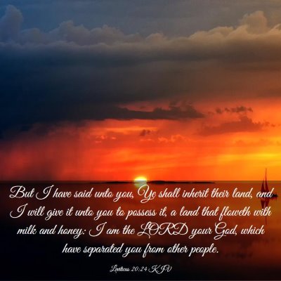 Picture 03 - Leviticus 20:24 KJV - But I have said unto you, Ye shall inherit their - Bible Verse Picture