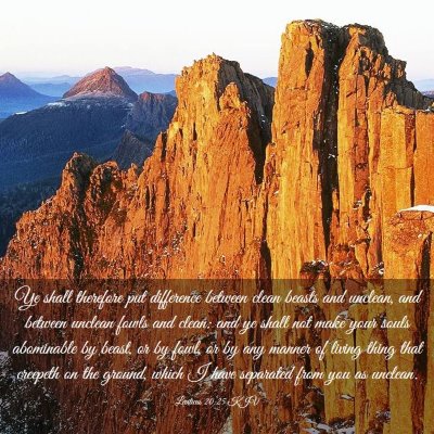 Picture 03 - Leviticus 20:25 KJV - Ye shall therefore put difference between clean - Bible Verse Picture