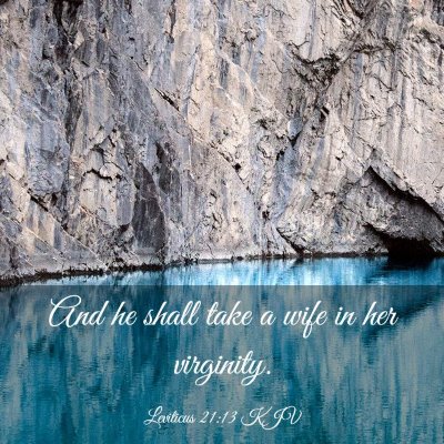Picture 03 - Leviticus 21:13 KJV - And he shall take a wife in her - Bible Verse Picture
