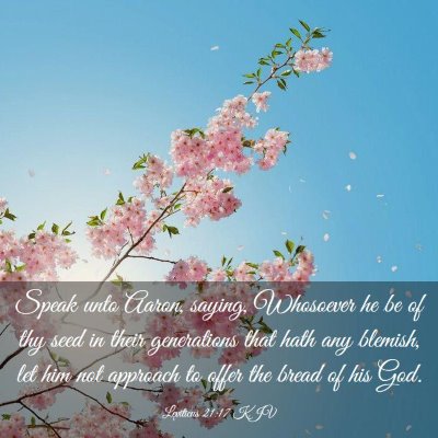 Picture 03 - Leviticus 21:17 KJV - Speak unto Aaron, saying, Whosoever he be of thy - Bible Verse Picture