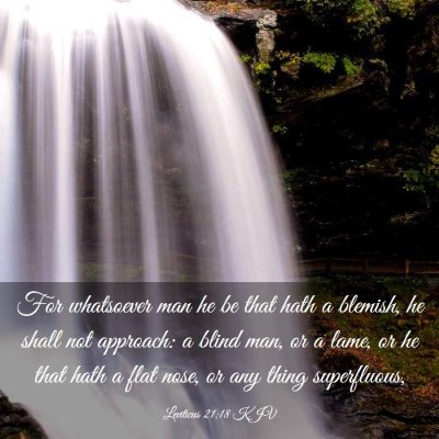 Picture 03 - Leviticus 21:18 KJV - For whatsoever man he be that hath a blemish, he - Bible Verse Picture