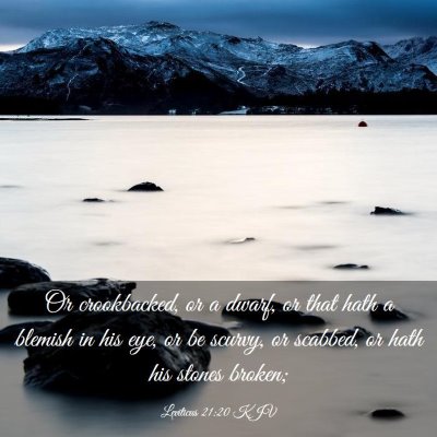 Picture 03 - Leviticus 21:20 KJV - Or crookbacked, or a dwarf, or that hath a - Bible Verse Picture