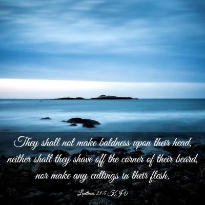 Picture 03 - Leviticus 21:5 KJV - They shall not make baldness upon their head, - Bible Verse Picture