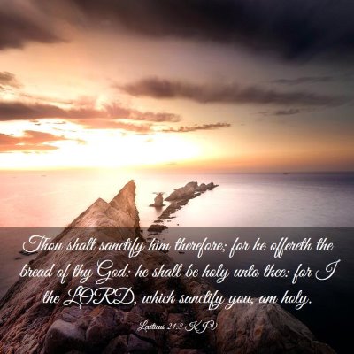 Picture 03 - Leviticus 21:8 KJV - Thou shalt sanctify him therefore; for he - Bible Verse Picture
