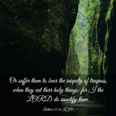 Picture 03 - Leviticus 22:16 KJV - Or suffer them to bear the iniquity of trespass, - Bible Verse Picture