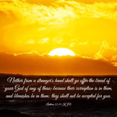 Picture 03 - Leviticus 22:25 KJV - Neither from a stranger's hand shall ye offer the - Bible Verse Picture