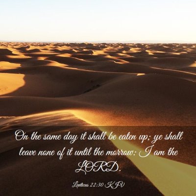 Picture 03 - Leviticus 22:30 KJV - On the same day it shall be eaten up; ye shall - Bible Verse Picture