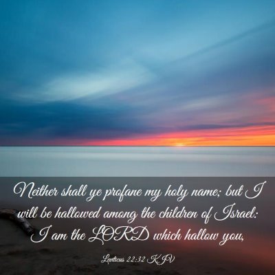 Picture 03 - Leviticus 22:32 KJV - Neither shall ye profane my holy name; but I will - Bible Verse Picture
