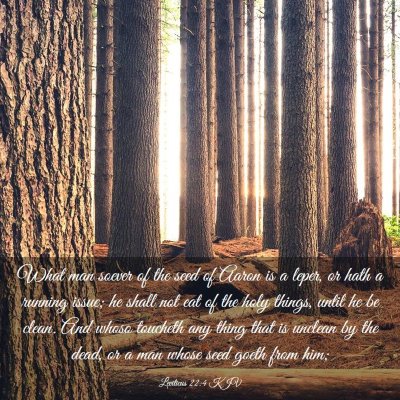 Picture 03 - Leviticus 22:4 KJV - What man soever of the seed of Aaron is a leper, - Bible Verse Picture