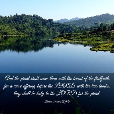 Picture 03 - Leviticus 23:20 KJV - And the priest shall wave them with the bread of - Bible Verse Picture