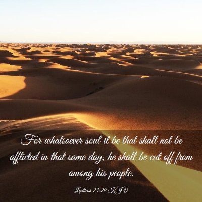 Picture 03 - Leviticus 23:29 KJV - For whatsoever soul it be that shall not be - Bible Verse Picture