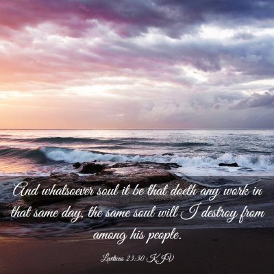Picture 03 - Leviticus 23:30 KJV - And whatsoever soul it be that doeth any work in - Bible Verse Picture